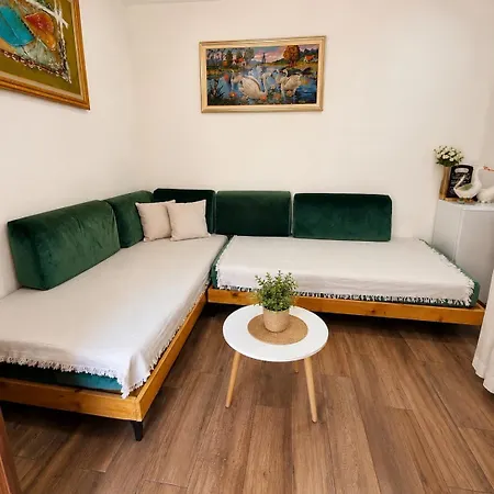 Drasa Harmony Daire Gjirokastër